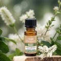 Vera Nord olejek eteryczny Niaouli 10 ml. 100% naturalny i organiczny. Łagodzi dolegliwości takie jak trądzik, oparzenia. Pomaga zwiększyć koncentrację. Doskonale sprawdza się przy zwalczaniu infekcji takich jak przeziębienie, gorączka, grypa.