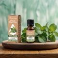 Vera Nord olejek eteryczny Mięta zielona 10 ml. 100% naturalny i organiczny. Posiada właściwości antybakteryjne, łagodzi bóle głowy. Zmniejsza pojawianie się zmarszczek i niedoskonałości skóry, takich jak przebarwienia.