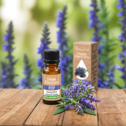 Vera Nord olejek eteryczny Hyzop 10 ml. 100% naturalny i organiczny.  Zwiększa ciśnienie krwi. Wycisza układ nerwowy, łagodzi skutki stresu. Posiada działanie przeciwskurczowe, moczopędne i przeciwgorączkowe. Łagodzi kaszel.