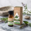 Vera Nord olejek eteryczny Szałwia 10 ml. 100% naturalny i organiczny. Pomaga w łagodzeniu objawów napięcia przedmiesiączkowego. Opóźnia procesy starzenia i powstawanie zmarszczek. Dobry na infekcje gardła i dróg oddechowych.