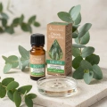 Vera Nord olejek eteryczny Eukaliptus 10 ml. 100% naturalny i organiczny. Działa rozgrzewająco i rozluźniająco na mięśnie, zmniejszając ich napięcie. Poprawia mikrokrążenie, kondycję, koloryt i ogólny wygląd skóry. Zalecany przy przeziębieniach.