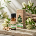 Vera Nord olejek eteryczny Niaouli 10 ml. 100% naturalny i organiczny. Łagodzi dolegliwości takie jak trądzik, oparzenia. Pomaga zwiększyć koncentrację. Doskonale sprawdza się przy zwalczaniu infekcji takich jak przeziębienie, gorączka, grypa.