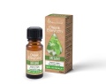 oregano_allegro_2.jpg
